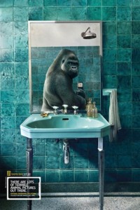 NATIONAL GEOGRAPHIC SELFIE 3