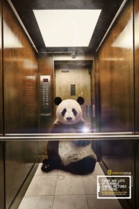 NATIONAL GEOGRAPHIC selfie1