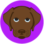 logo_smdge_aus