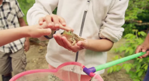 Screen Shot 2014-07-23 at 9.02.36 AM