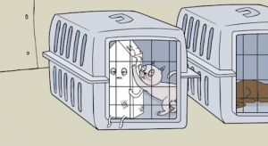 Screen Shot 2014-07-24 at 8.11.19 PM