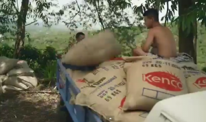 Screen Shot 2014-08-14 at 7.58.06 PM