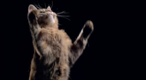 Screen Shot 2014-09-04 at 9.10.24 PM