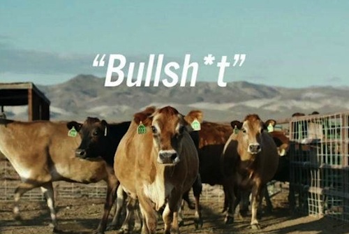 droga5 bullshit 2