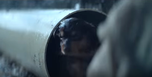 Ogilvy Sydney KFC Burger ad