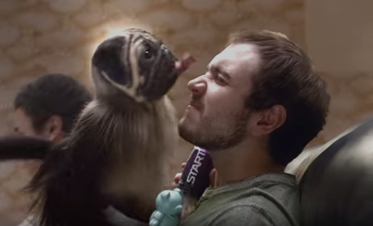 puppmonkeybaby super bowl 3