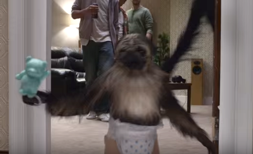puppmonkeybaby super bowl 4