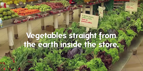 WMcCann Zona Sul Fresh Garden 1