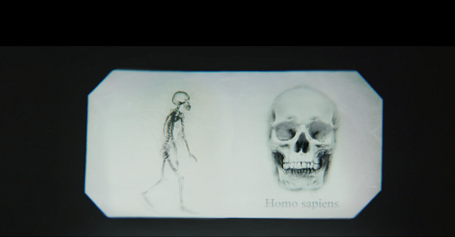 Screenshot (28)