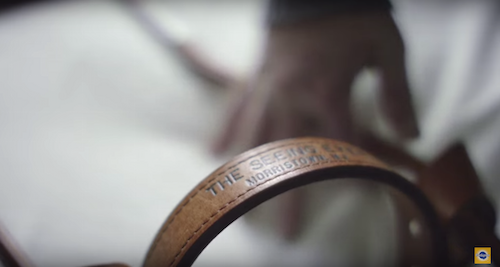 bbdo-ny-pedigree-dark-to-light-1