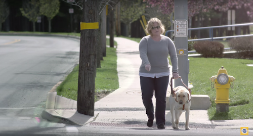 bbdo-ny-pedigree-dark-to-light-2