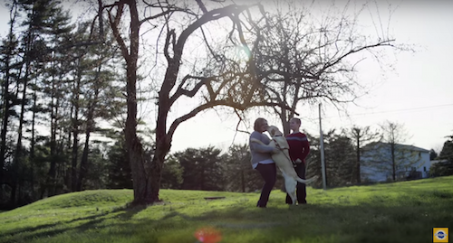 bbdo-ny-pedigree-dark-to-light-3