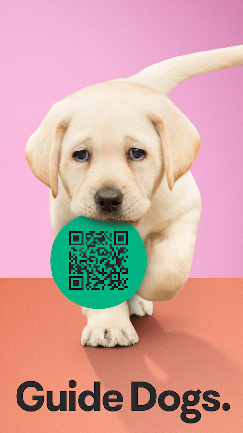 The Royals Guide Dogs Australia’s cutebaits will getcha The Stable